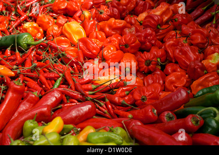 Piments colorés assortis sur un stand à un festival de Chili Banque D'Images