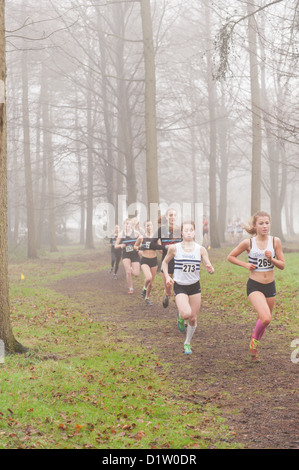 Kent Championnats de cross-country de moins de 17 jeunes filles en marche sur le sentier chemin à travers bois dans le brouillard et les conditions brumeuses Banque D'Images