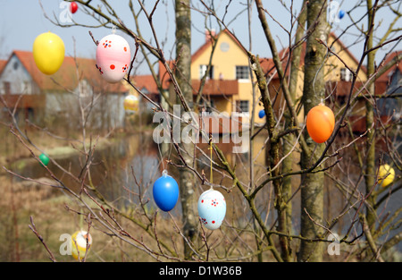 Waren, Allemagne, décorations de Pâques sur un arbre dans un village de Banque D'Images