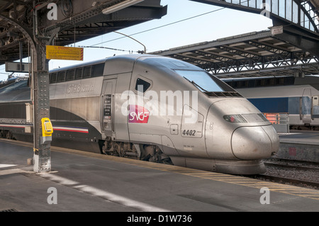 POS TGV Train à Grande Vitesse construit par Alstom et exploité par la Société Nationale des Chemins de fer français SNCF, siégeant à Paris, France, Europe Banque D'Images
