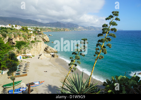 Espagne, Andalousie - Nerja, à l'est de Malaga. À l'est jusqu'à la plage et sur la côte au-delà de la ville, avec des fleurs d'agave spike. Banque D'Images