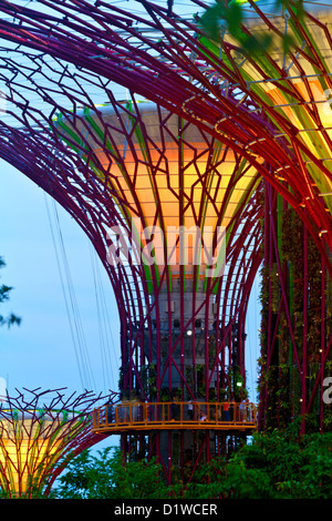 Singapour, la Marina, les jardins du sud de la baie, Supertrees. Banque D'Images