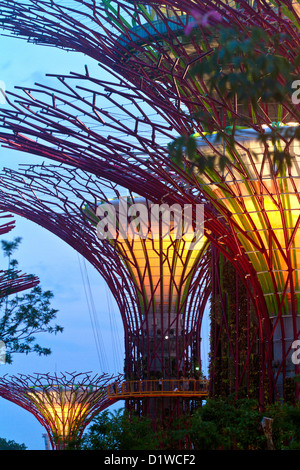 Singapour, la Marina, les jardins du sud de la baie, Supertrees. Banque D'Images