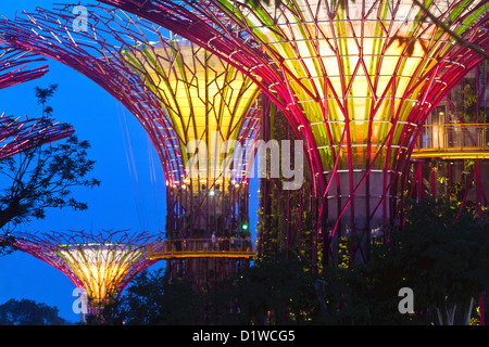 Singapour, la Marina, les jardins du sud de la baie, Supertrees. Banque D'Images