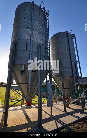 Les silos d'aliments pour animaux, élevage de poulets, de l'Australie du Sud Banque D'Images