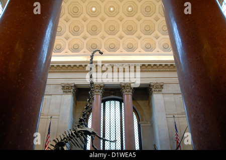 Le hall d'entrée du Musée américain d'Histoire Naturelle, de Central Park West, New York, NY, USA Banque D'Images