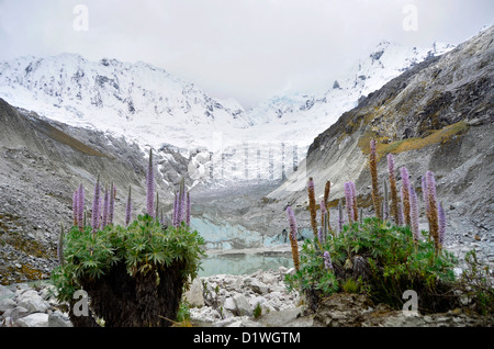 Une vue de la Cordiella Blanca montagnes depuis un lac glaciaire dans les Andes péruviennes Banque D'Images