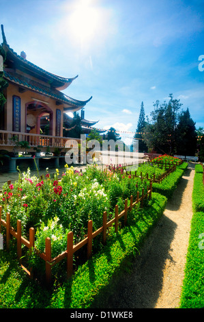 Jardins de fleurs soigneusement entretenu, Khu Cap Du Lich Treo, Dalat, hauts plateaux du centre, Vietnam, Asie Banque D'Images