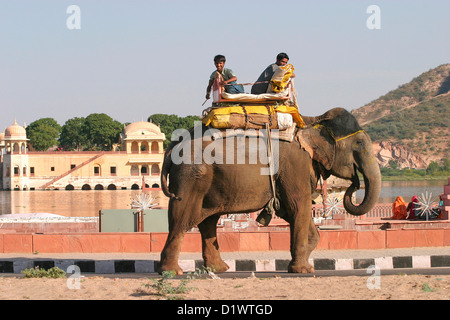 Un éléphant marchant à côté Sucre Homme Lac au milieu de laquelle se trouve le Palais de l'eau, Jal Mahal à Jaipur, Rajasthan, Inde. Banque D'Images