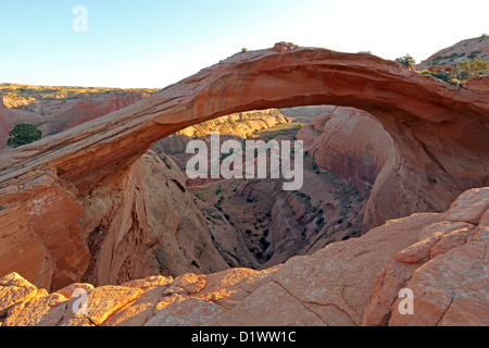 Coquille d'Arch, Navajo Reservat, Réserve Navajo, près de Kaibito, Arizona, USA Banque D'Images