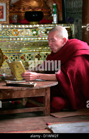 Portrait d'un moine bouddhiste lecture à la colline Thein Taung monastère à Kalaw, l'État de Shan, Birmanie, Myanmar, en Asie du sud-est. Banque D'Images
