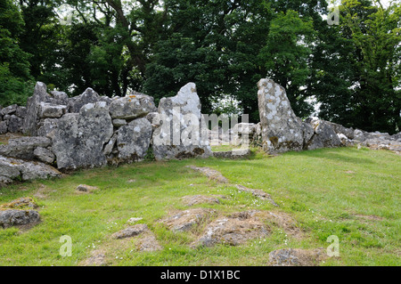 Din Lligwy huttes rondes et rectangulaires ancien Village Settlement Llangefni Amglesey Cymru Wales UK GO Banque D'Images