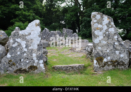 Din Lligwy huttes rondes et rectangulaires ancien Village Settlement Llangefni Amglesey Cymru Wales UK GO Banque D'Images