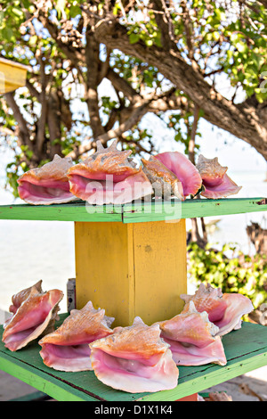 Côté plage boutique shell dans Dunmore Town, Harbour Island, Bahamas Banque D'Images