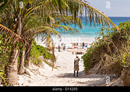 Chemin de la rose des sables plage à Dunmore Town, Harbour Island, Bahamas Banque D'Images