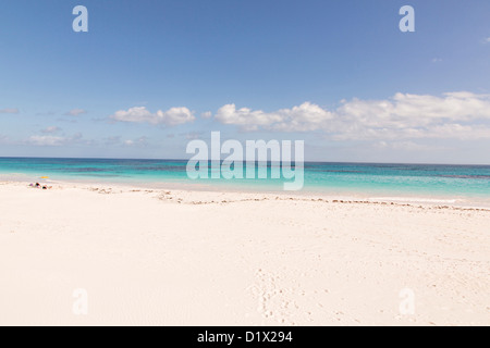 La rose des sables plage à Dunmore Town, Harbour Island, Bahamas Banque D'Images
