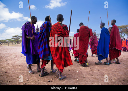 Un groupe d'hommes Massaï l'exécution de leur danse rituelle en vêtements traditionnels dans leur village. Banque D'Images