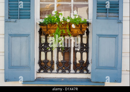 Une fenêtre de dialogue de fleurs et les volets bleus sur une maison dans le quartier français de la Nouvelle Orléans, Louisiane. Banque D'Images