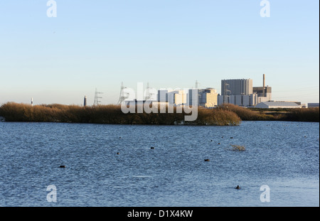 Centrale nucléaire de Dungeness. À partir de la RSPB Réserve dormeur. Foulques peut être vu sur le lac au premier plan Banque D'Images