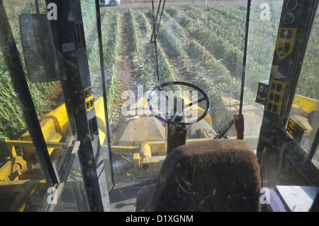 Une pipette à maïs John Deere dans un champ de maïs prêts pour la récolte. comme vu de l'intérieur de la récolteuse. Banque D'Images