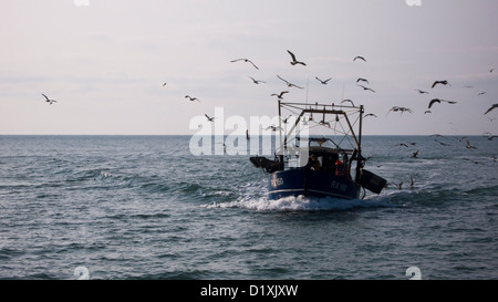 Bateau de pêche landing, entouré par les goélands, Hastings, Sussex Banque D'Images