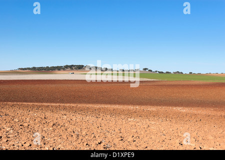 Les champs labourés dans la vaste plaine d'Alentejo, Portugal Banque D'Images