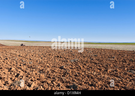 Farmer labourer le champ dans la vaste plaine d'Alentejo, Portugal Banque D'Images