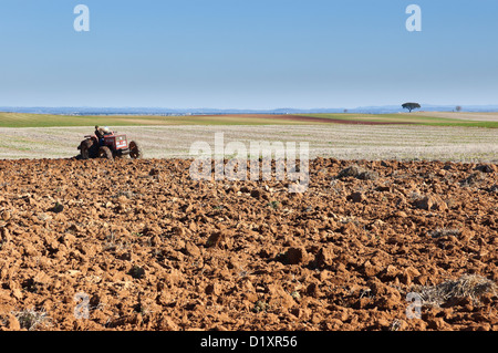 Farmer labourer le champ dans la vaste plaine d'Alentejo, Portugal Banque D'Images