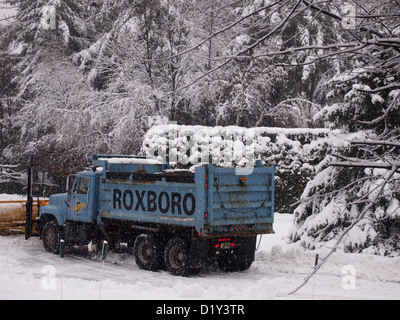 Chasse-neige chasse-neige camion bleu Banque D'Images