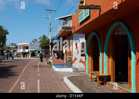 Puerto Ayora, Santa Cruz, Galapagos, Equateur Banque D'Images