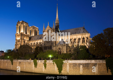 Notre Dame de Paris la nuit, la cathédrale Notre-Dame de Paris Banque D'Images