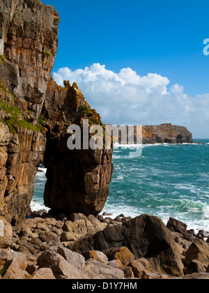 Le littoral du Pembrokeshire, à St Govan's Head près de Bosherston avec rochers, hautes falaises et le fracas des vagues South Wales UK Banque D'Images