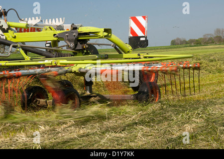 Close up of Claas râteau à herbe à l'œuvre dans le champ de l'ensilage. Northumberland, UK Banque D'Images