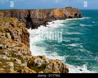 Le littoral du Pembrokeshire, à St Govan's Head près de Bosherston avec rochers, hautes falaises et le fracas des vagues South Wales UK Banque D'Images