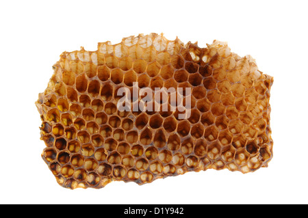 Libre d'une section d'Honeycomb isolé sur un fond blanc. Banque D'Images