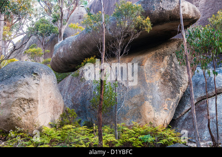 Turtle Rock, le Parc National de Girraween, Queensland, Australie Banque D'Images