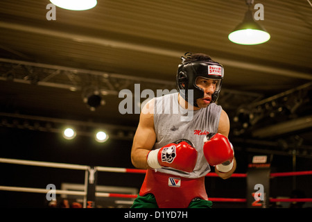 L'allemand Felix Sturm professionnel de boxe se prépare pour la lutte contre le boxeur australien Soliman dans sa salle de sport à Cologne, Allemagne, 08 janvier 2013. Le championnat du monde de lutte aura lieu à l'ISS Dome à Düsseldorf le 01 février. Photo : Rolf Vennenbernd Banque D'Images