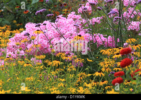 Lit de fleurs colorées avec Phlox et brillante Coneflower dans un jardin Banque D'Images