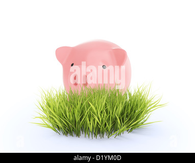 Petite tirelire derrière une petite parcelle de l'herbe fraîche Banque D'Images