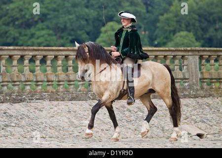 Frederiksborger avec rider en costume historique trottant dans le jardin de Frederiksborg Palace, Danmark Banque D'Images