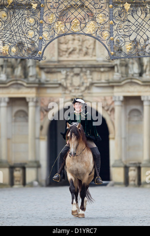 Frederiksborger avec rider en costume historique galoper dans la cour du château de Frederiksborg, Danmark Banque D'Images