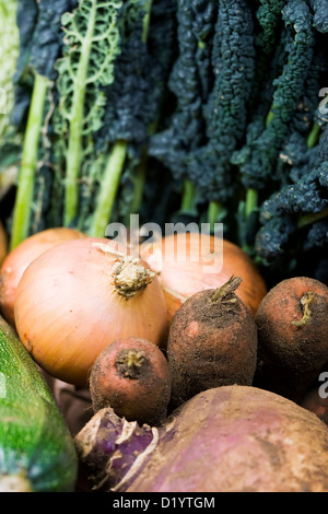 Légumes d'hiver frais dans une boîte. Banque D'Images