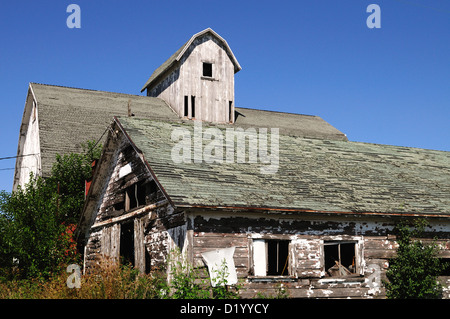 Weathered barn et l'agriculture dans le besoin de peinture Illinois ferme. USA. Banque D'Images