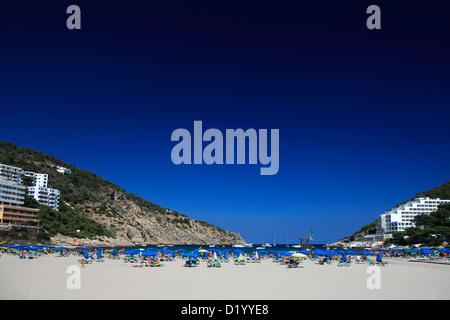 La plage de sable et la baie isolée de Cala Llonga resort, l'île d'Ibiza, Baléares, Espagne, Europe Banque D'Images