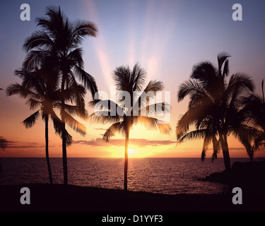 USA - NEW YORK : le coucher du soleil à Mauna Kea Beach sur l'île principale Banque D'Images