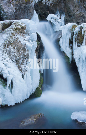 Avis de Mira tombe en hiver, Basse Autriche, Autriche, Europe Banque D'Images