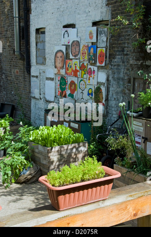 Les légumes qui poussent dans une variété de conteneurs, avec des peintures d'enfants dans l'arrière-plan, l'Hackney Garden Courbe Dalston Banque D'Images