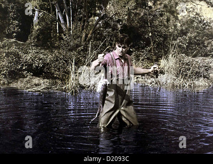 Ein Goldfisch der Leine Man's favorite Sport ? Rock Hudson Roger Willoughby (Rock Hudson) hat einen zwar Bestseller ueber das Banque D'Images