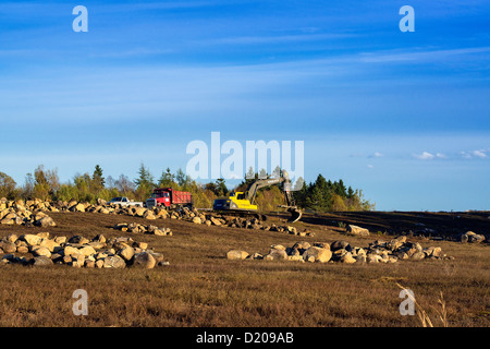 Les récoltes de la grue les rochers de granit du paysage, Harrington, Maine, USA Banque D'Images