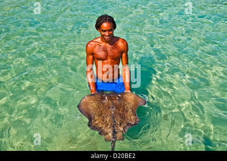 L'homme de la Jamaïque tient à Dolphin Cove stringray attraction touristique d'Ocho Rios, Jamaïque Banque D'Images